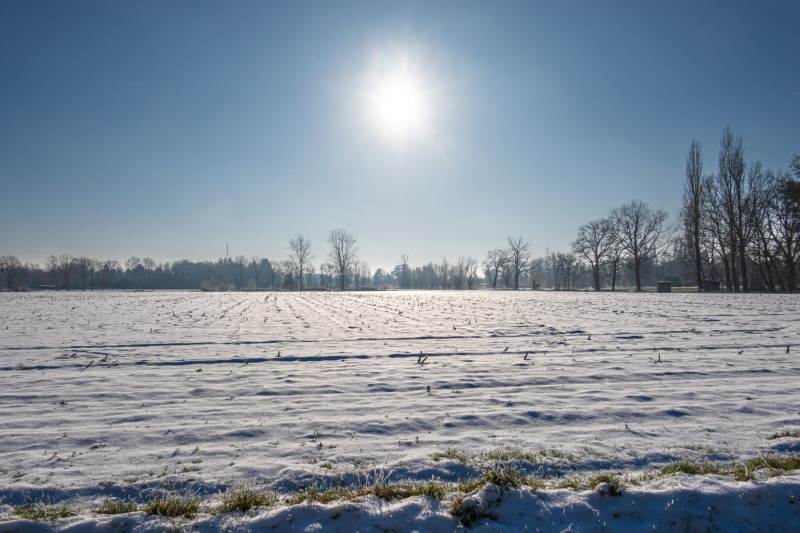 Winterzon schijnt over besneeuwd landschap