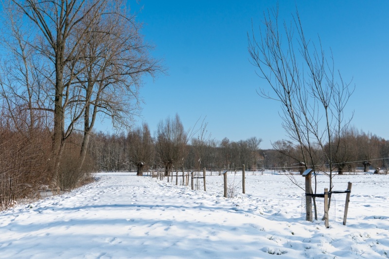 Wintertapijt Vrijbroekpark